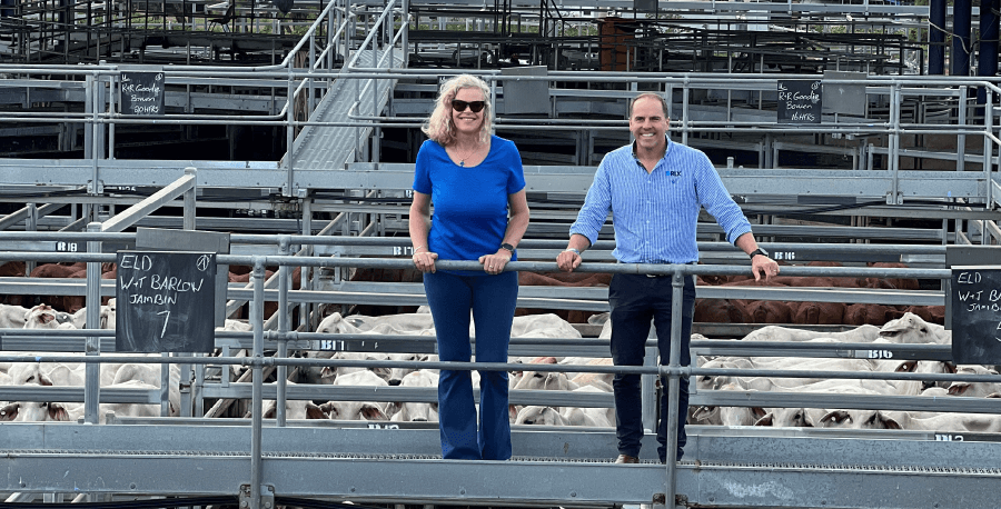Brighter Super CEO, Kate Farrar visits a major regional investment - the Central Queensland Livestock Exchange