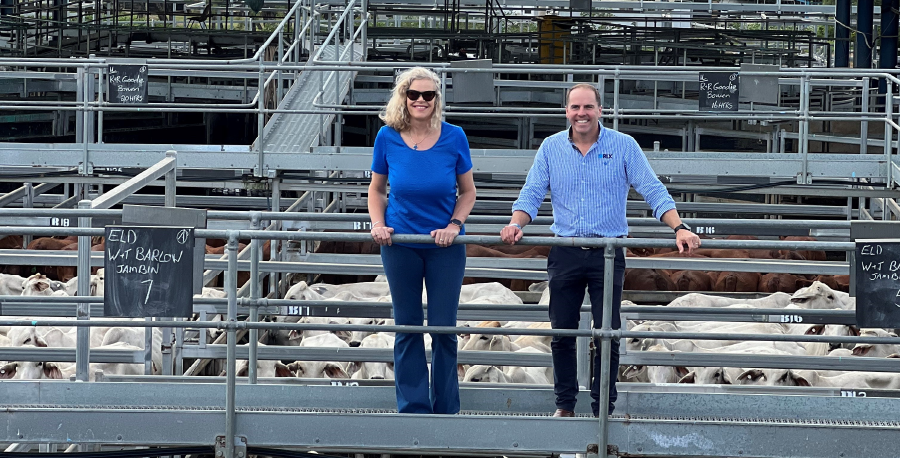 Brighter Super CEO Kate Farrar visits the Central Queensland Livestock Exchange